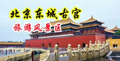 黄嫂逼美女中国北京-东城古宫旅游风景区